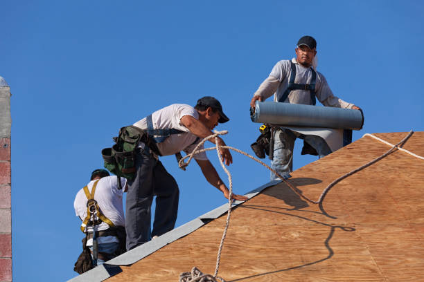 Best Roof Repair Estimates  in Frankton, IN