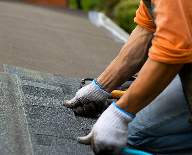 Best Local Roofing Companies  in Frankton, IN